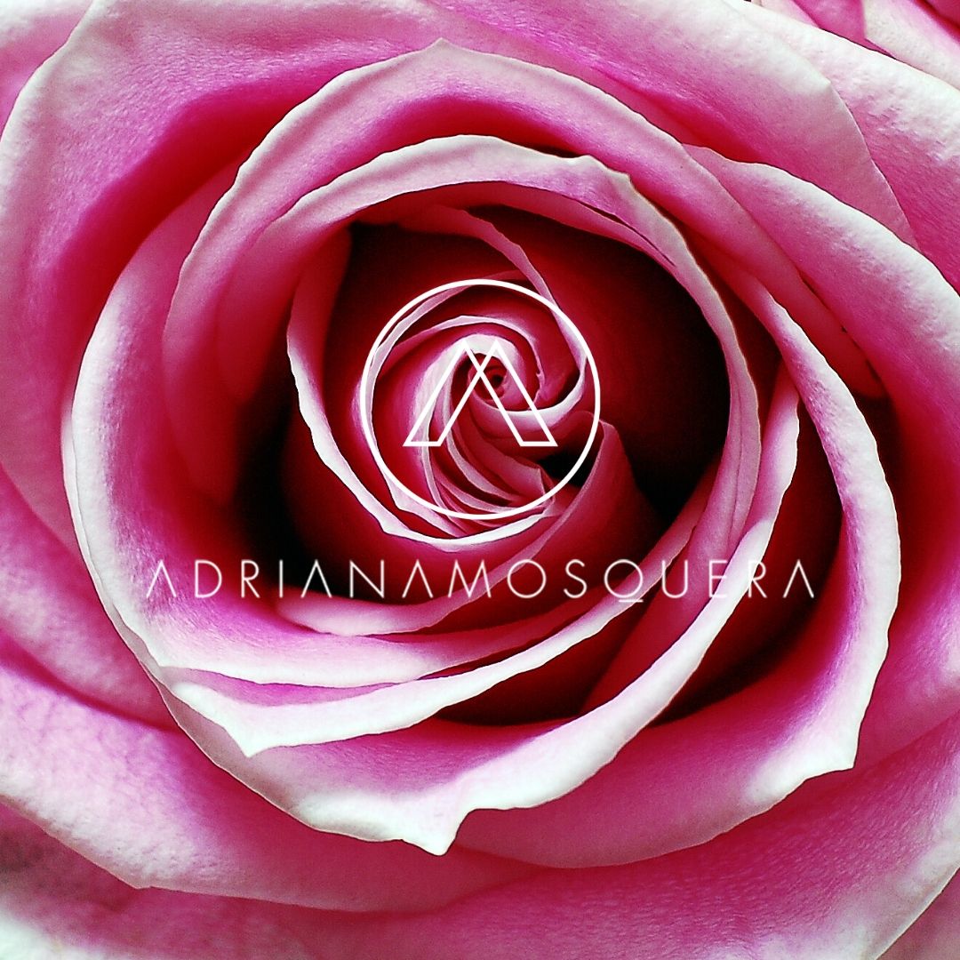 Anillo Rosas DEEP PURPLE