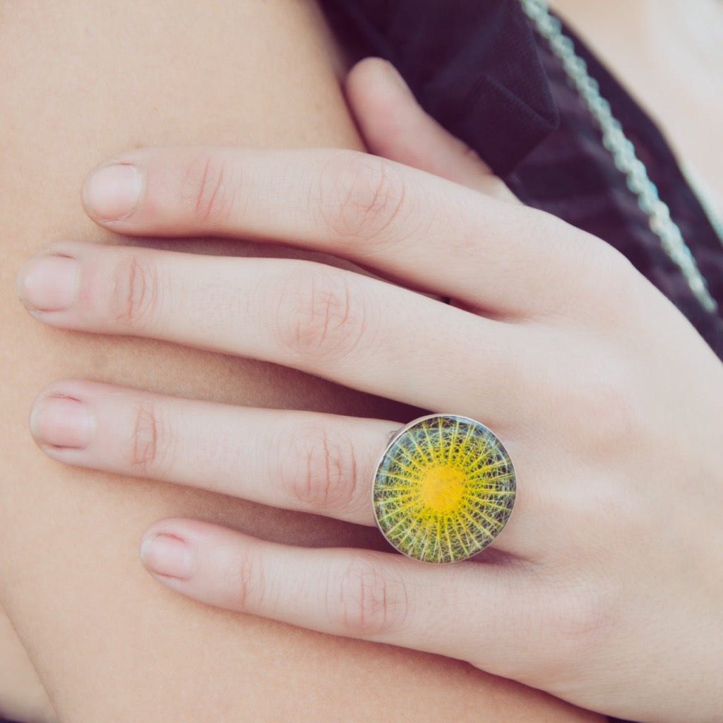 Anillo Bola de Oro