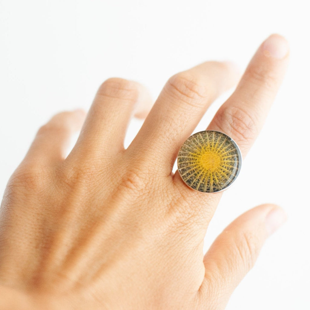 Anillo Bola de Oro